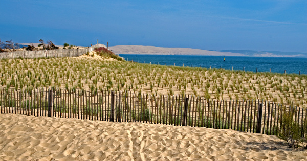 Restauration de la nature�: un investissement strat�gique, selon les acad�mies des sciences europ�ennes