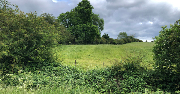 Une typologie des haies bient�t fix�e par arr�t� interminist�riel 