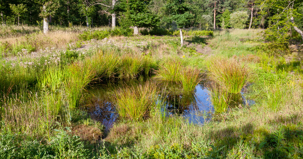 Office fran�ais de la biodiversit�: un nouveau contrat d'objectifs et de performance