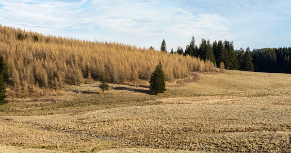 L'Inrae lance 15 d�fis pour produire des solutions concr�tes d'ici � 2030