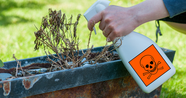 Vente de pesticides interdits sur internet�: la culpabilit� de deux trafiquants confirm�e en appel