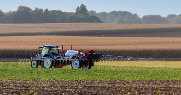 Phytosanitaires dans l'air�: des associations demandent le retrait de prosulfocarbe