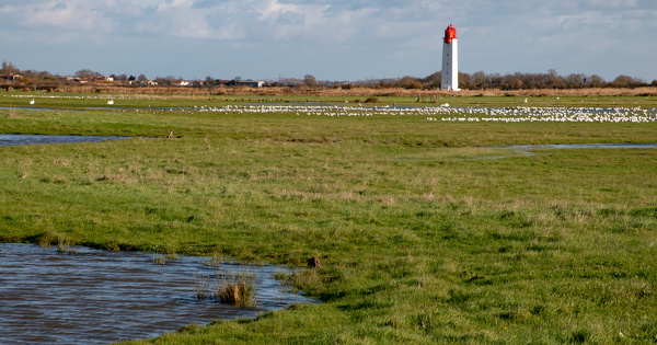 En Charente-Maritime, Monique Barbut pr�cise ses actions en faveur de la biodiversit�