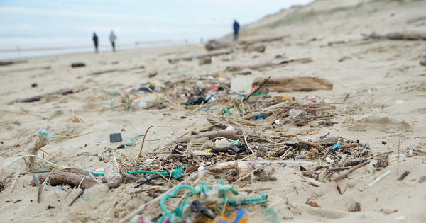 Plan d'actions ��Z�ro pollution���: des progr�s restent � faire