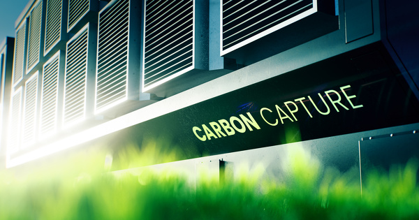 L'Europe met en place une certification des activit�s stockant le carbone