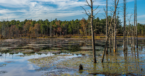 Augmentation du m�thane dans l'atmosph�re depuis 2019�: comment l'expliquer�? 