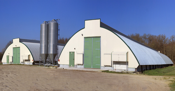 Le S�nat approuve la sortie des �levages de la l�gislation des installations class�es