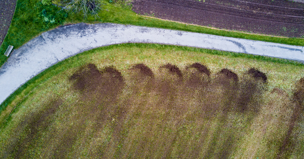 Nitrates�: les arr�t�s d�signant les zones vuln�rables ne sont pas soumis � �valuation environnementale