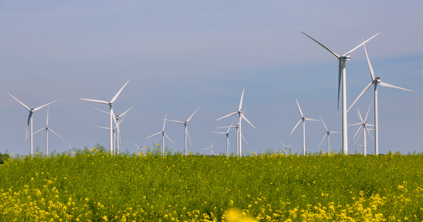 Parc �olien�: l'effet d'encerclement doit �tre d�montr� dans les conditions r�elles du projet 