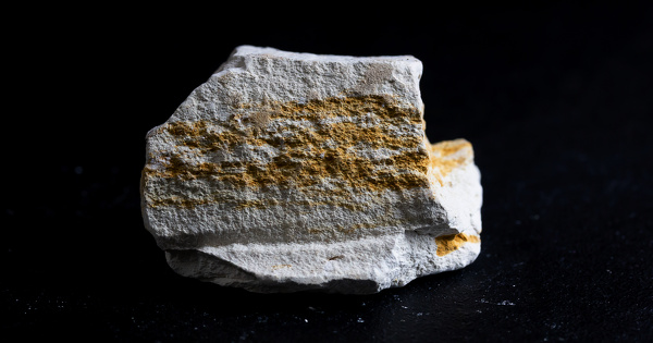 La justice administrative refuse d'annuler un PLUi contest� du fait de la richesse du sol 