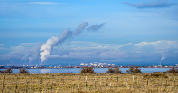 �tang-de-Berre�: l'�tat et EDF sont tenus responsables d'un pr�judice �cologique caus� � son �cosyst�me  