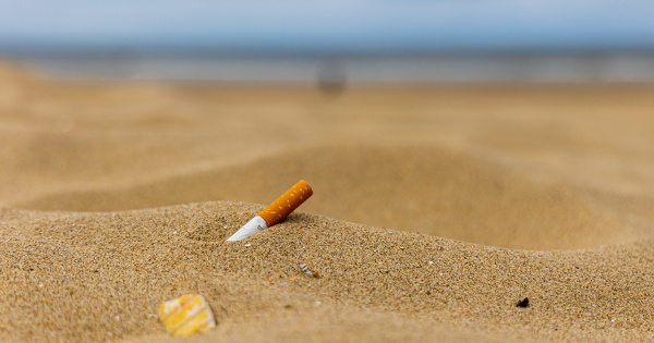 Surfrider constate une progression des d�chets marins