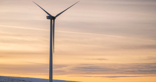 Le parc �olien autoris� mais pas encore en service ne n�cessitait pas de d�rogation � esp�ce prot�g�e � 