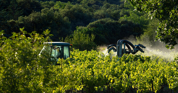 Pesticides�: l'administration tenue de diffuser les registres d'�pandage que s'ils sont d�j� en sa possession 