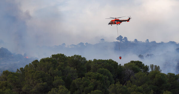 La Commission europ�enne lance une nouvelle strat�gie de lutte contre les feux de for�t