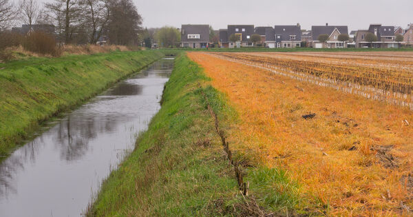 Glyphosate�: l'AMM d'un herbicide annul�e pour d�faut d'�valuation des risques sur les esp�ces non cibl�es