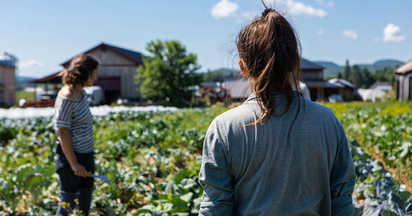 Cadmium�: la Fnab demande � l'Anses de rectifier des �l�ments sur la bio