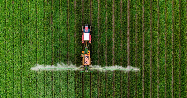 Duplomb 2 cherche � s'immiscer dans la loi d'urgence agricole