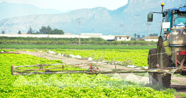 Trafic de pesticides interdits�: de lourdes peines frappent un fournisseur et des exploitants agricoles