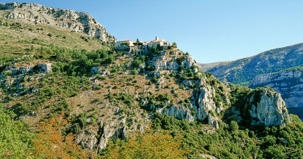 R�gime forestier�: une disposition relative aux contributions des communes jug�e inconstitutionnelle