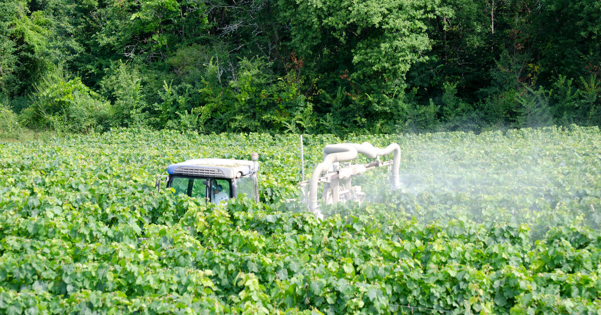 Phytosanitaires : la composition du comité des solutions est fixée