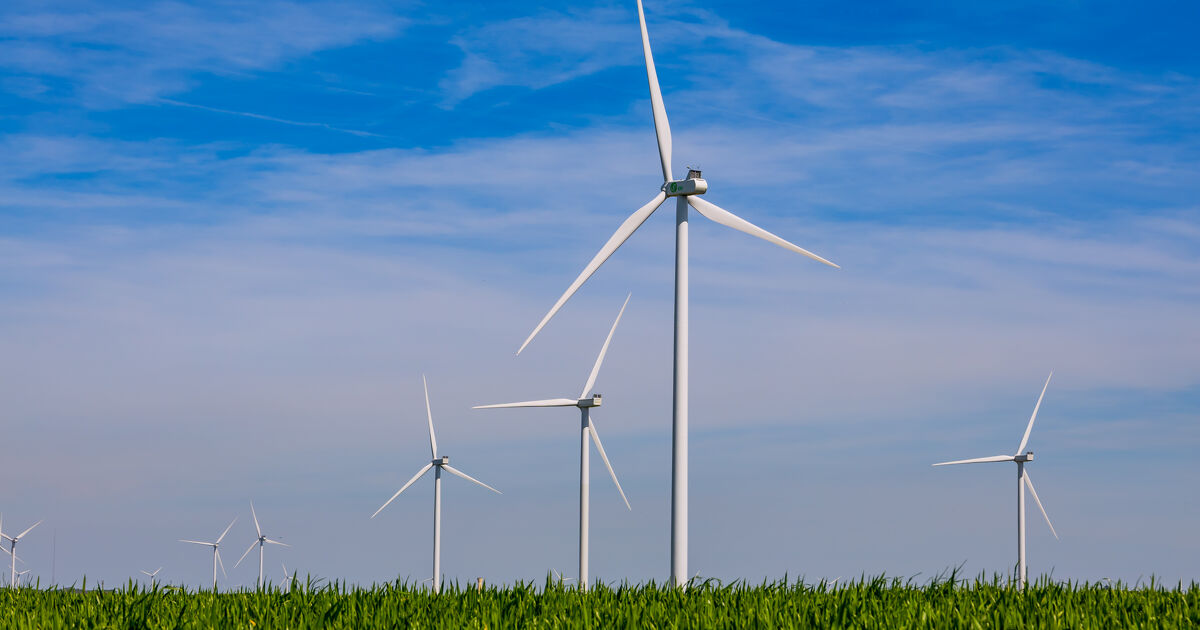 ENR : Boralex lance un fonds de dotation pour financer des actions durables dans les territoires