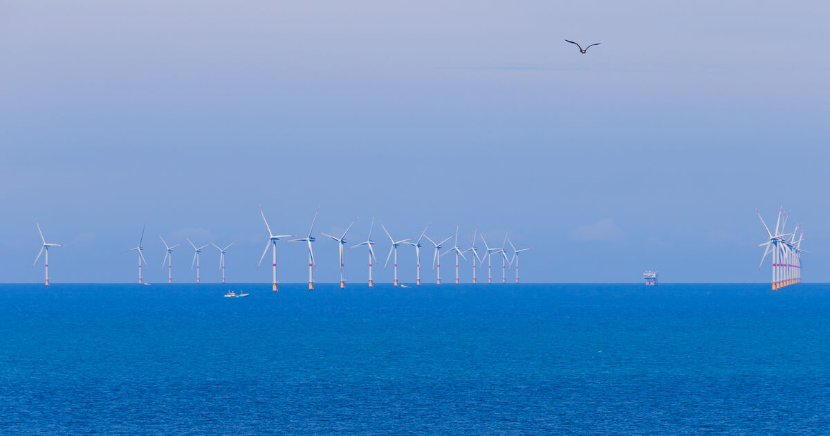 Soutien aux ENR : les pistes de la CRE pour réduire la facture