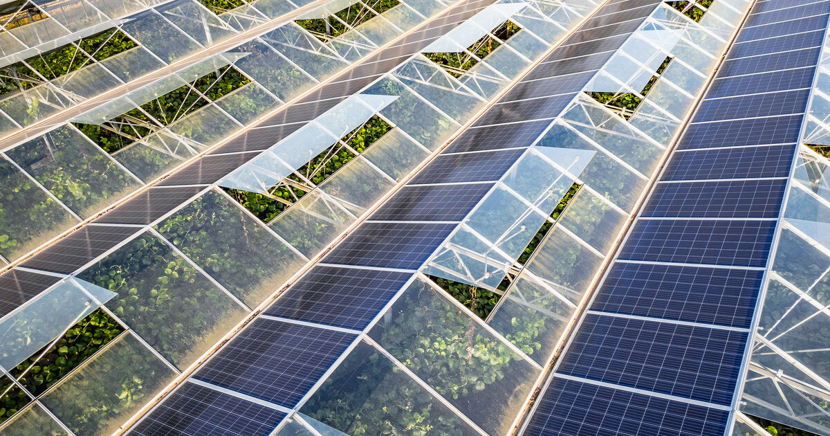 Agrivoltaïsme : le juge rappelle le périmètre de la commission départementale de préservation des Enaf