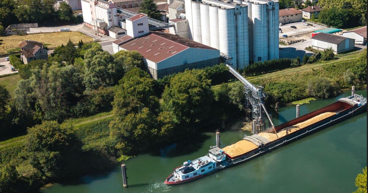 Le transport fluvial de marchandises r�siste