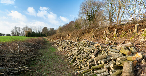 La typologie des haies est fix�e par arr�t�