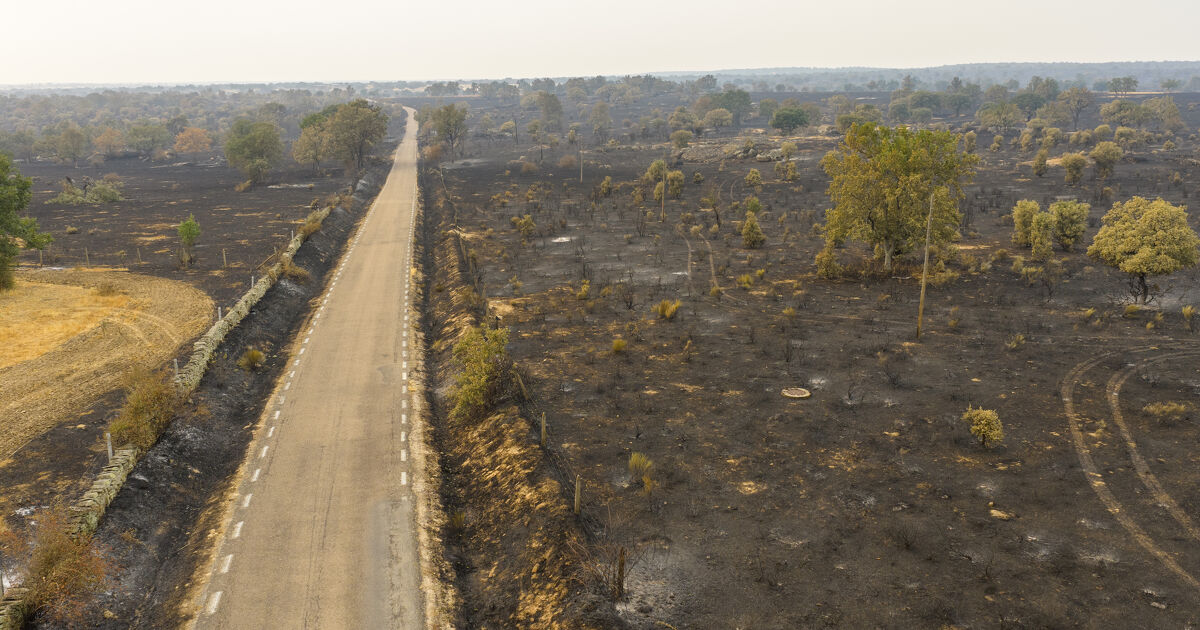 Climat�: l'Europe se r�chauffe deux fois plus vite que la moyenne mondiale