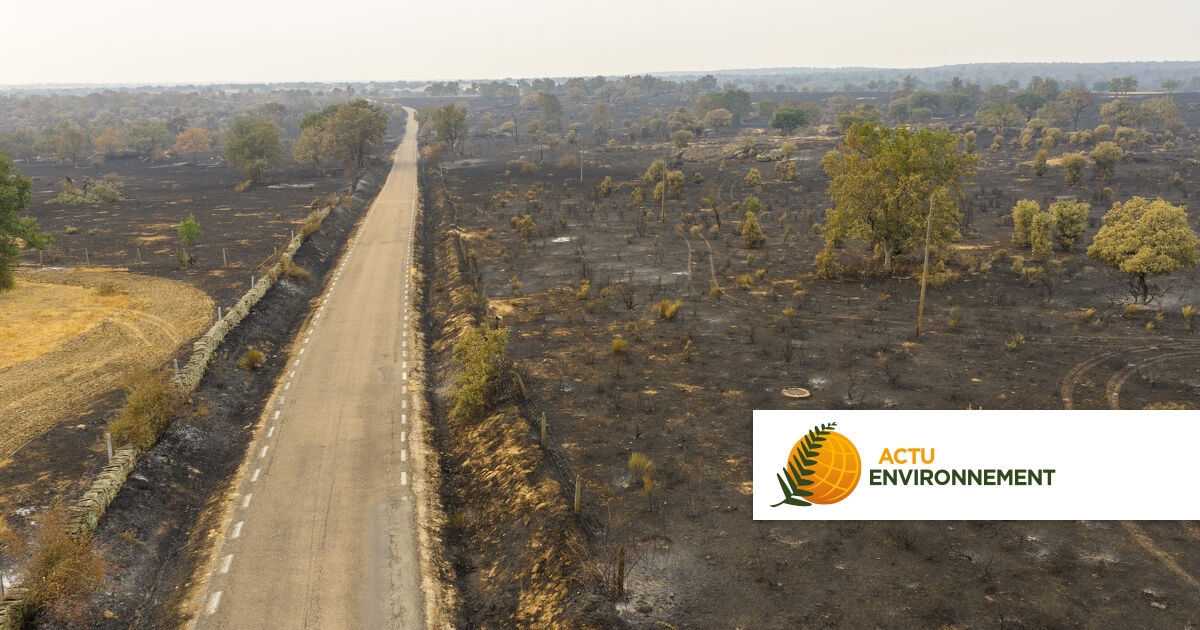 Climat : l'Europe se réchauffe deux fois plus vite que la moyenne mondiale