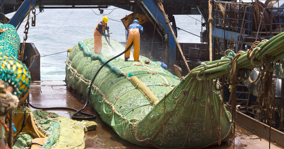 Chalutage de fond�: une �tude �value son impact �conomique global en Europe