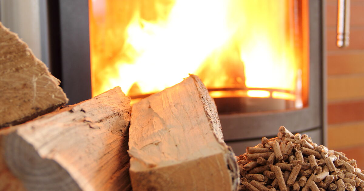 Chauffage r�sidentiel�: le SER plaide pour une compl�mentarit� �lectricit�-bois