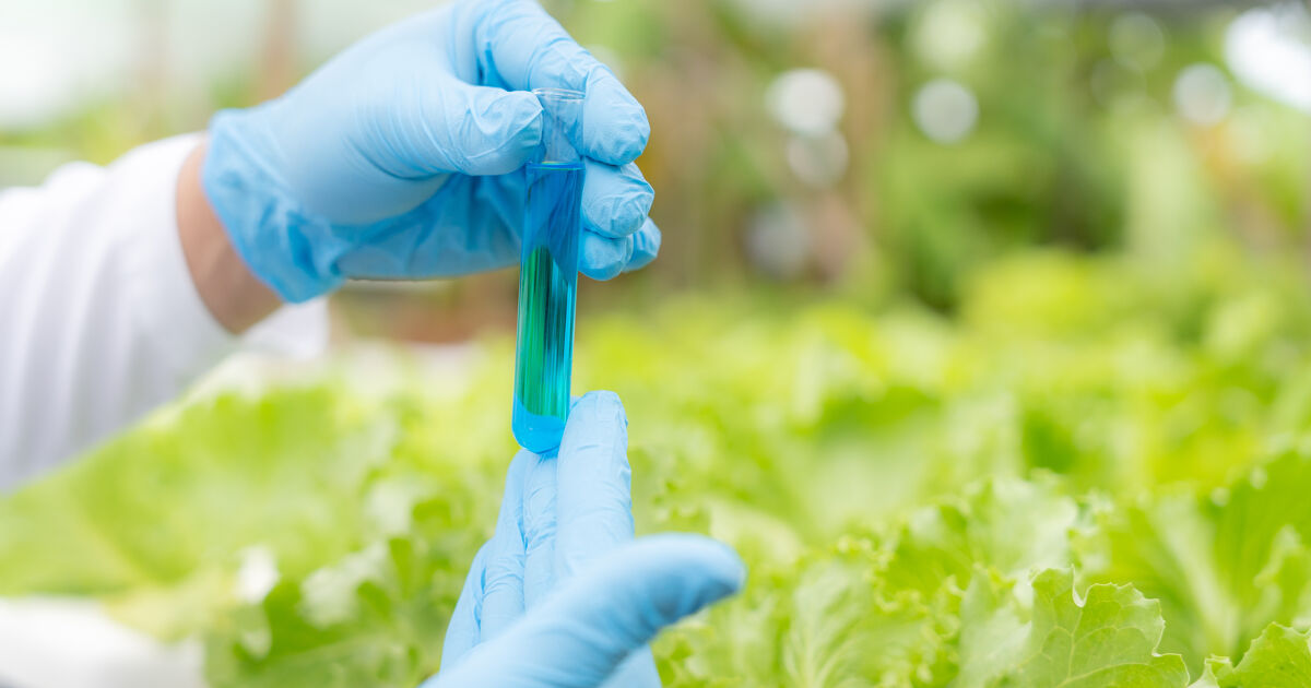 Résidus de pesticides dans les aliments : une situation inchangée au fil des années