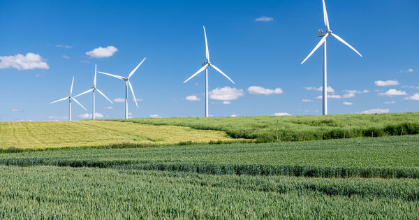 R�gularisation d'une autorisation environnementale�: les moyens que le juge d'appel doit examiner