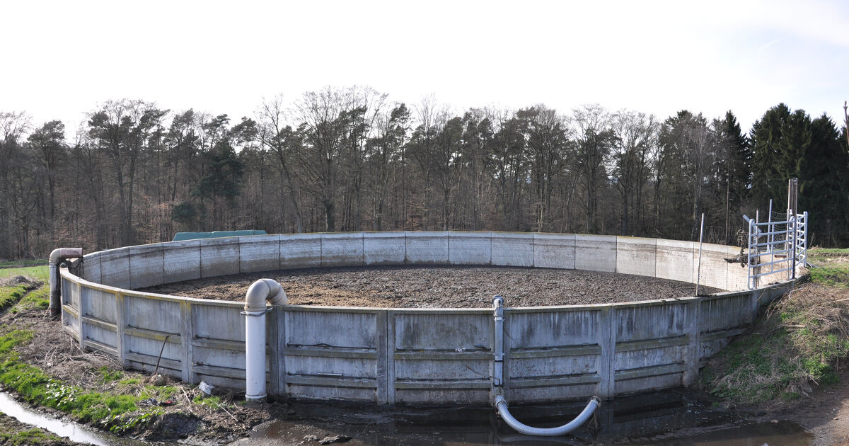 Pollution de cours d'eau par du lisier�: un �levage porcin condamn� � r�parer le pr�judice �cologique