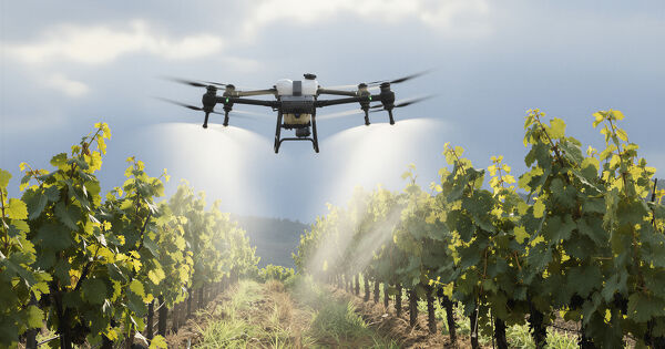 Pesticides�: les conditions d'autorisation des traitements par drone sont fix�es