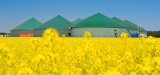 Biogaz et biodiversit� : GRTgaz, la FNSEA et les Chambres d'agriculture signent une convention
