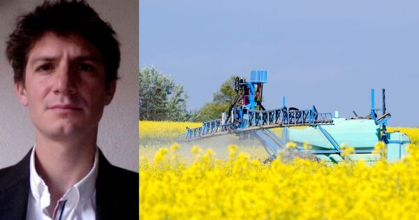 La science au c�ur du droit�: l'�tat condamn� pour mauvaise �valuation des pesticides