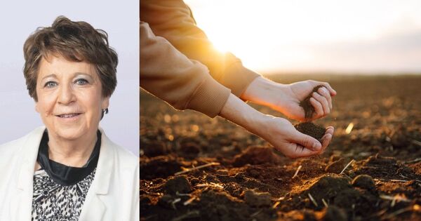 Une directive sur les sols�: enfin�!