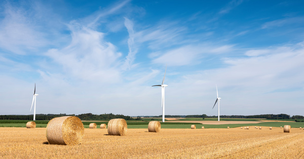 Pourquoi le Rassemblement national reste incompatible avec l'�cologie