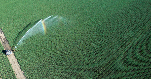 Gouvernance de l'eau�: un �quilibre menac�