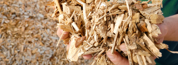 Energies renouvelables : une tendance � la hausse depuis 2006