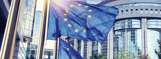 Bientt de nouvelles rgles du jeu pour les ENR en Europe