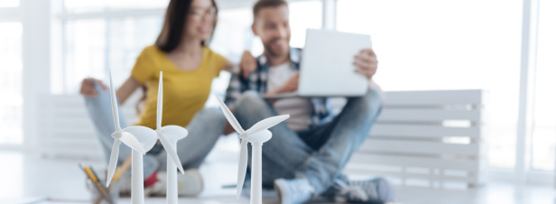 Les formes multiples du financement participatif des �nergies renouvelables