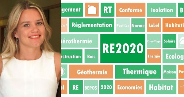 L'impact de la r�glementation environnementale 2020 sur le contentieux de la garantie d�cennale
