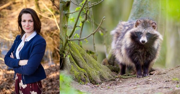 Classement Esod�: l'�chec de la r�glementation actuelle pour rem�dier aux d�g�ts imput�s � la faune sauvage