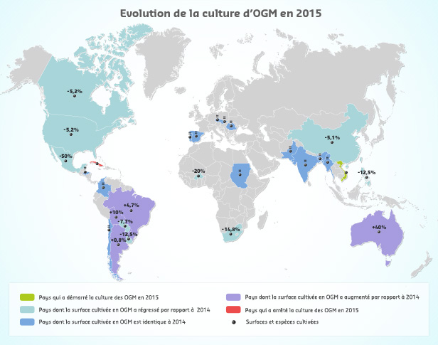 OGM: lger retrait des surfaces cultives dans le monde en 2015
