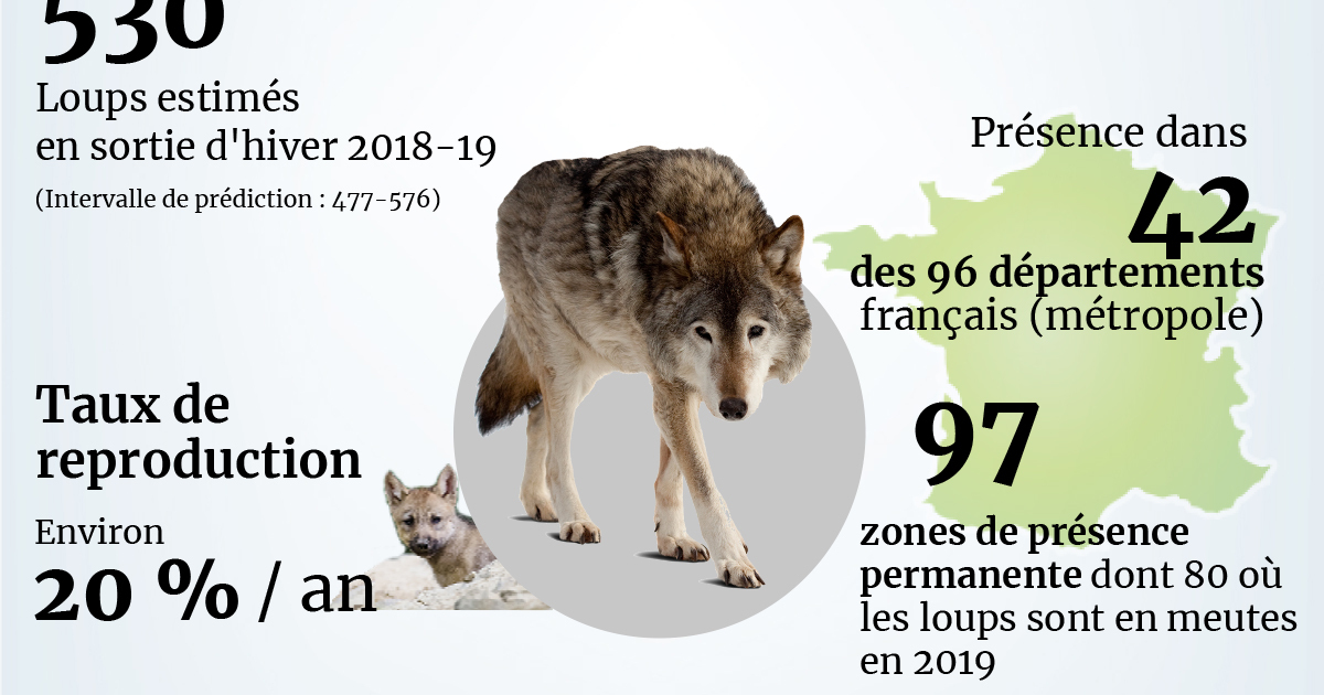 Le loup et nous  France Nature Environnement